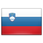 SEG Slovenia Flag
