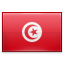 SEG Tunisia Flag